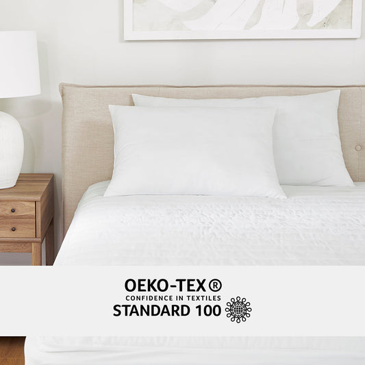 plush-microfiber-pillow-2-pack-sale-linens-and-hutch