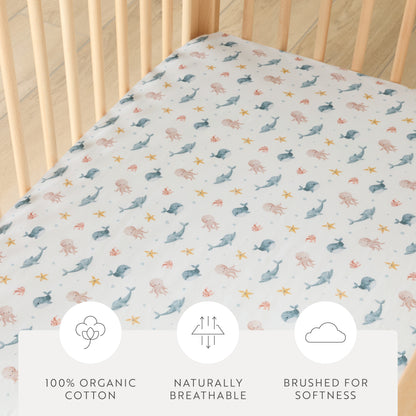1 Organic Cotton Percale Sleepy Seashore Fitted Crib Sheet