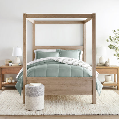 Eucalyptus