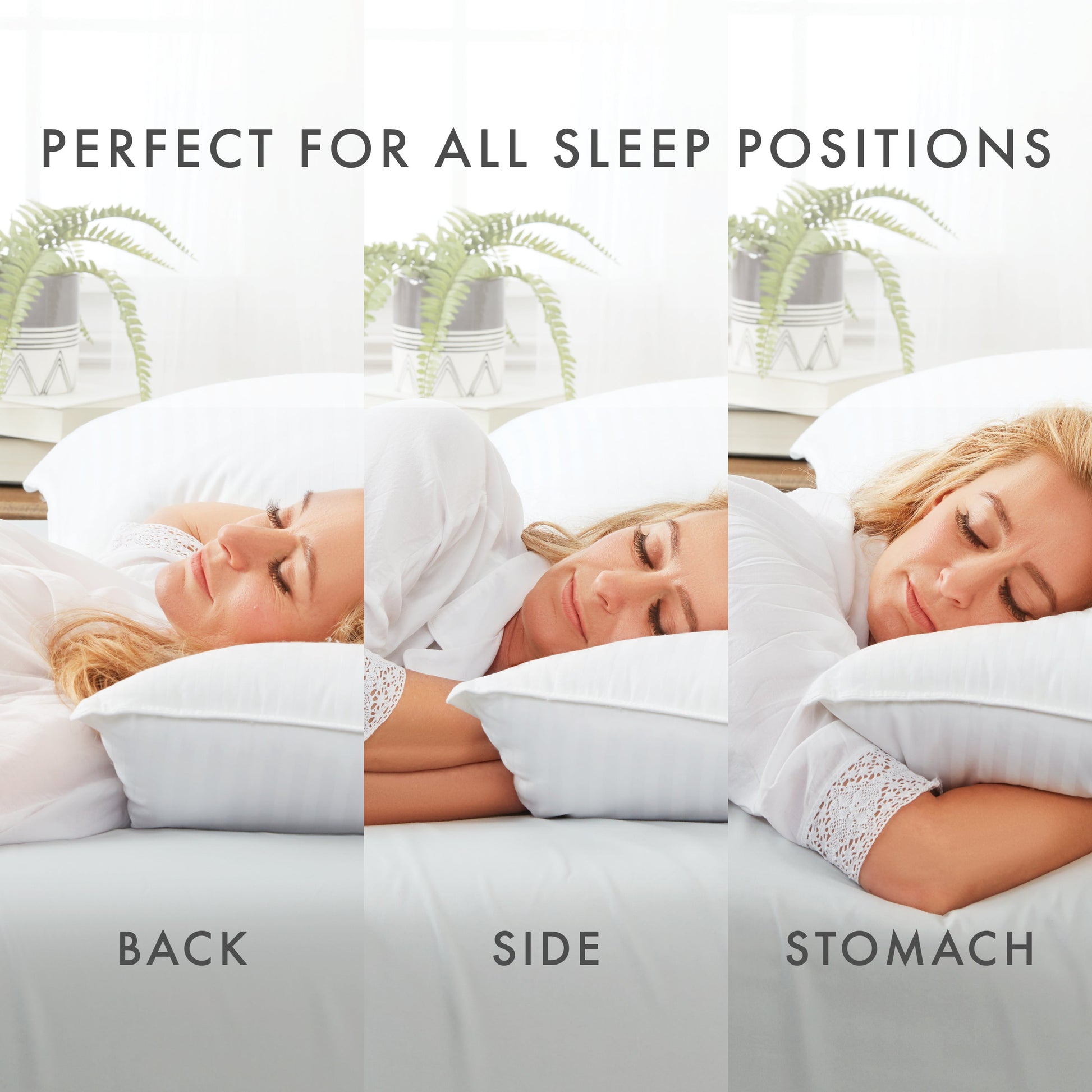 Plush Down-Alternative Gel-Fiber Pillow 2-Pack (Sale) - Linens And Hutch