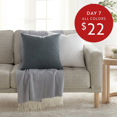 Artic, Stone Washed Décor Throw Pillow W/ Insert - 12 Days Of Deals